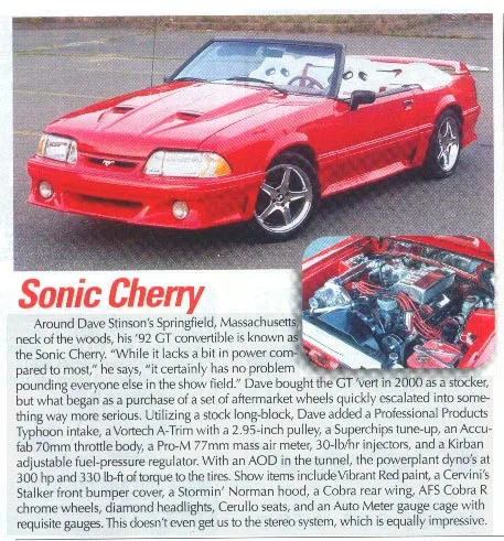 50mustang2.webp