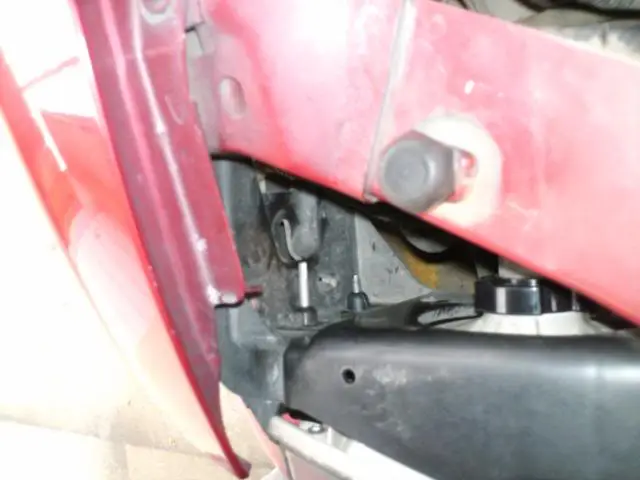 511505e4.webp