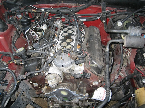 514040426_53263f056a.webp