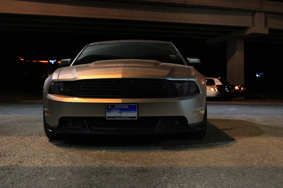 5141805189_c2c52cb5a5_o.webp