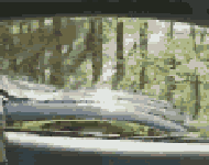 5221wu8.gif