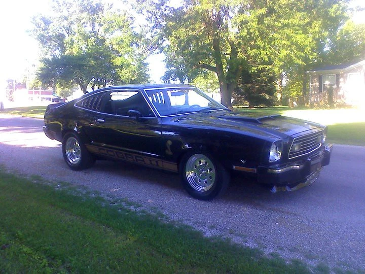 5363945789_af941f9000_c.webp