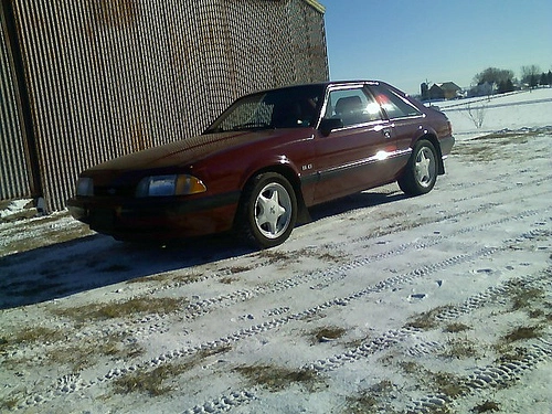 5469663559_ae19717d73.webp