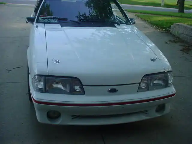 54jeo94.webp