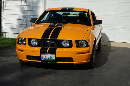 553607826_e7d36aa886.webp