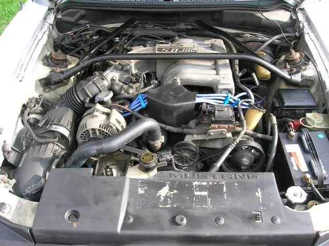 56135101.webp