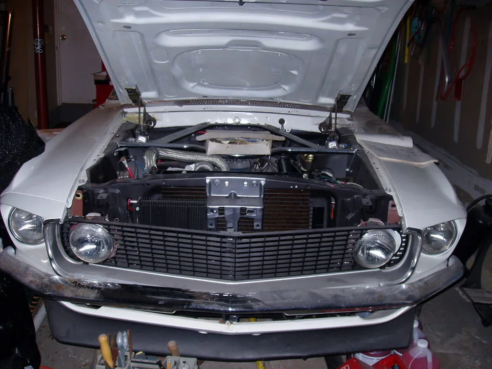 59568418_e72ae8cb65_o.webp