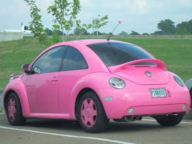 59899248_pinkbug.webp
