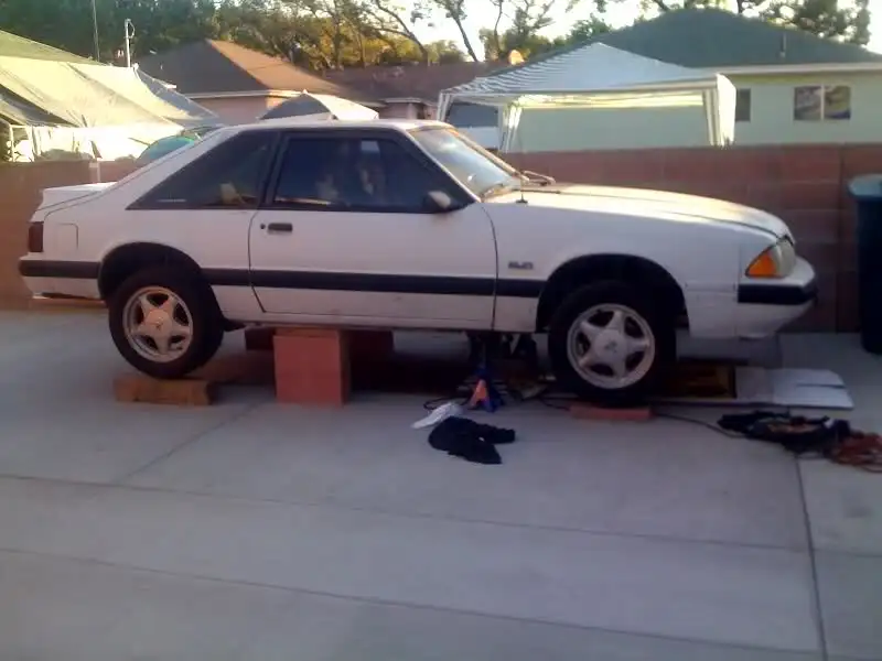 5cawxz.webp