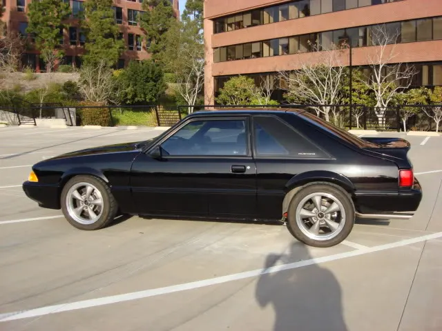 5lug12.webp