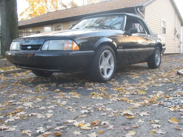 5lugswap035.webp