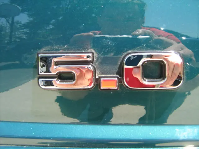 6-6-09029.webp