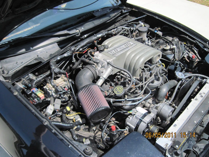 6-6-11%20010_zpsj4r0vypy.webp