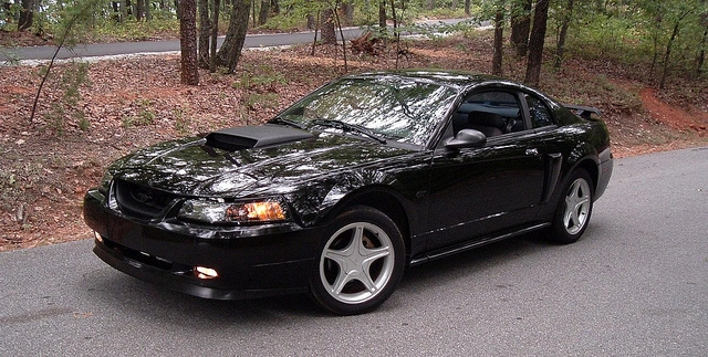 6176487123_0d7e62c9b5_z.webp