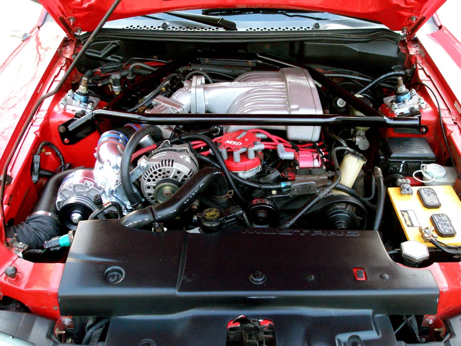 61916086.webp