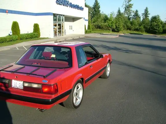6309410012_large.jpg
