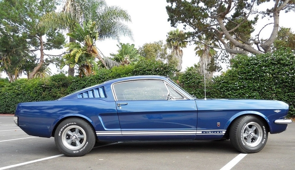 65 GT Picture 3.webp