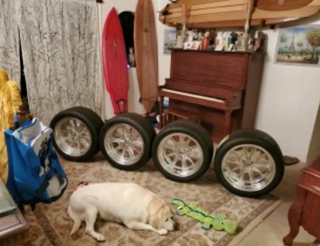 65 Shelby Cobra PIN Wheels 2.webp