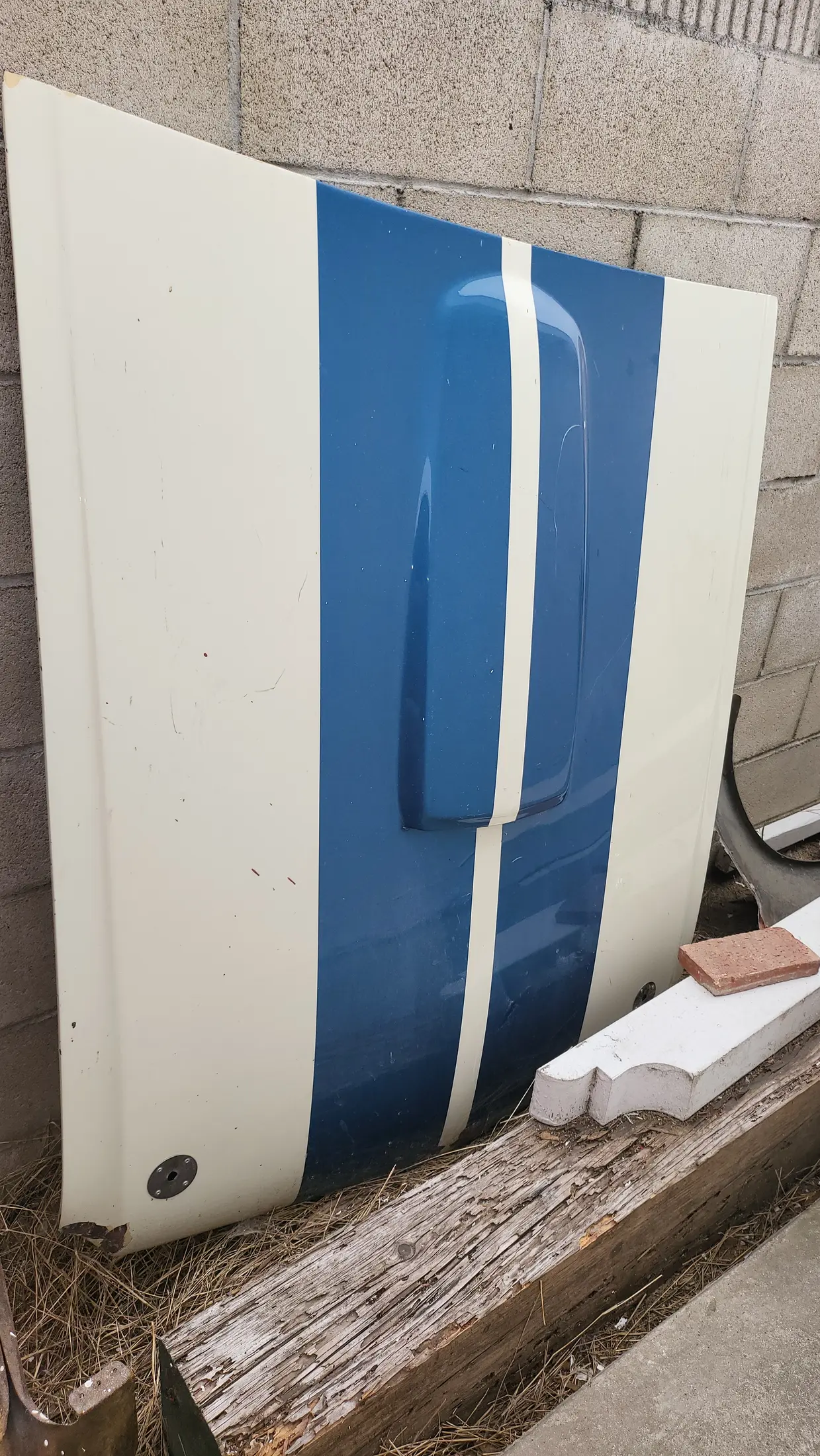 65 Shelby hood .webp