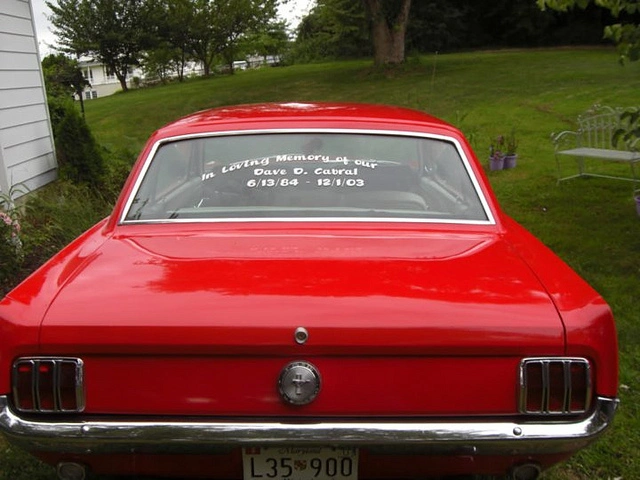 6534546683_ac84b01eb2_z.webp