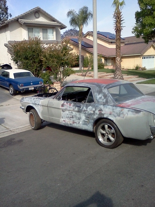 66%20with%20rear%20bullitts%20outside.webp