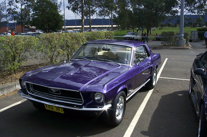 67-Coupe-purple-01.webp