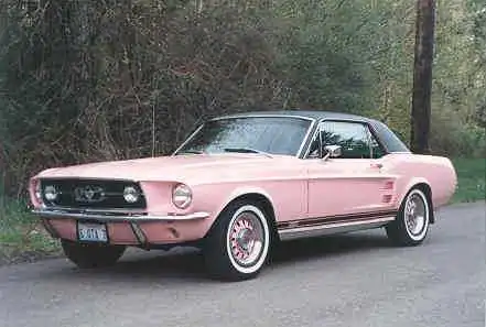 67-pink.webp