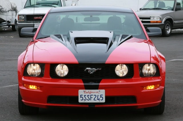 6760120454picture0571.webp