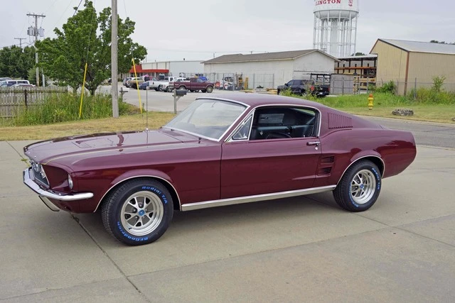 67_Mustang_edit.sized.webp