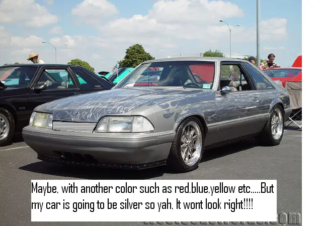 68705228df6.webp