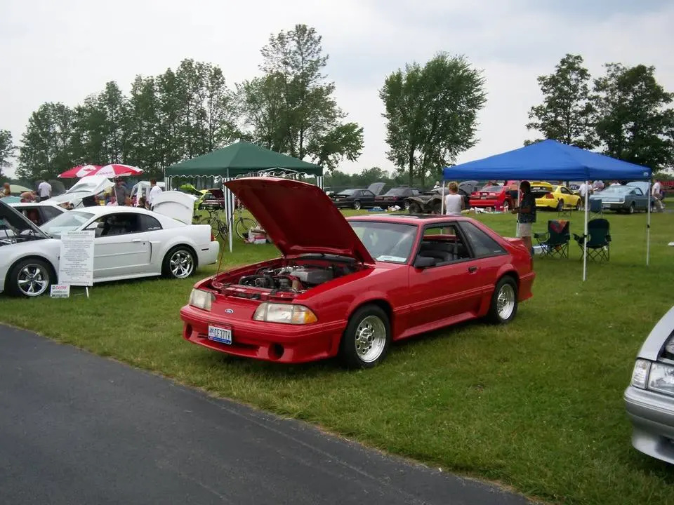 6a0897d0.webp