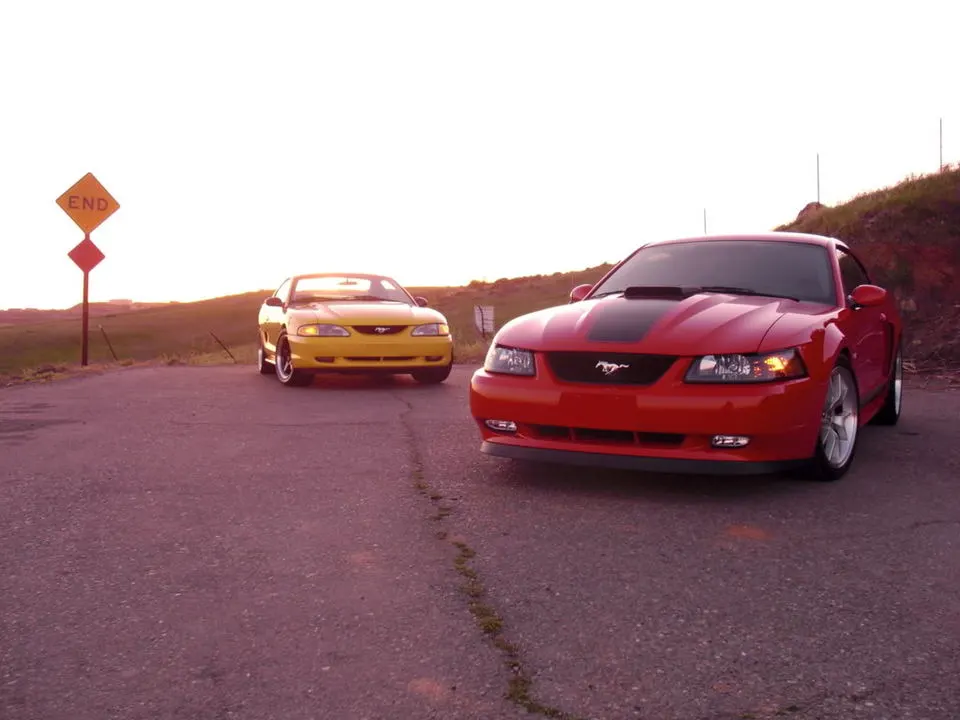 6cf8d82e.webp