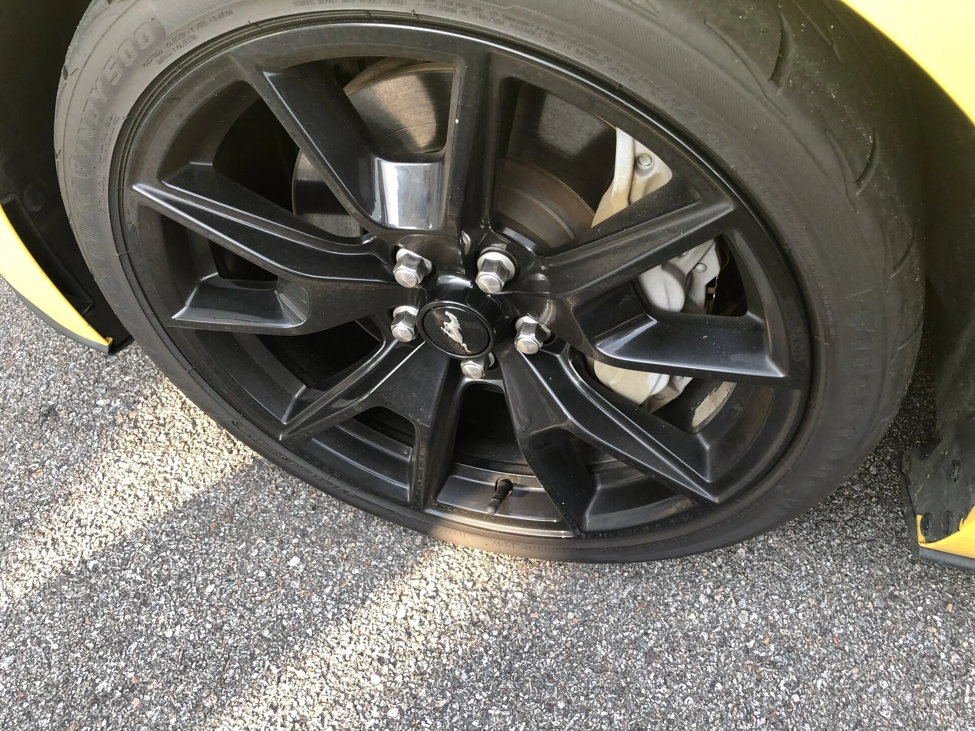 6D099F35-4AE7-4461-AE30-C2A717CCEFF7.webp