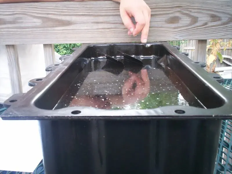 6quarts.webp