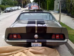71 eleanor.webp