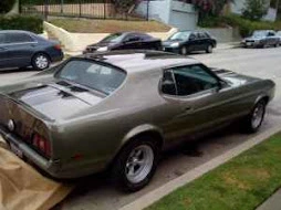 71 eleanor3.webp