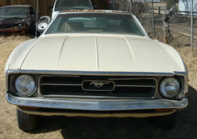71stang3.webp