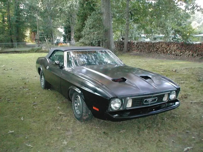 73stang.webp