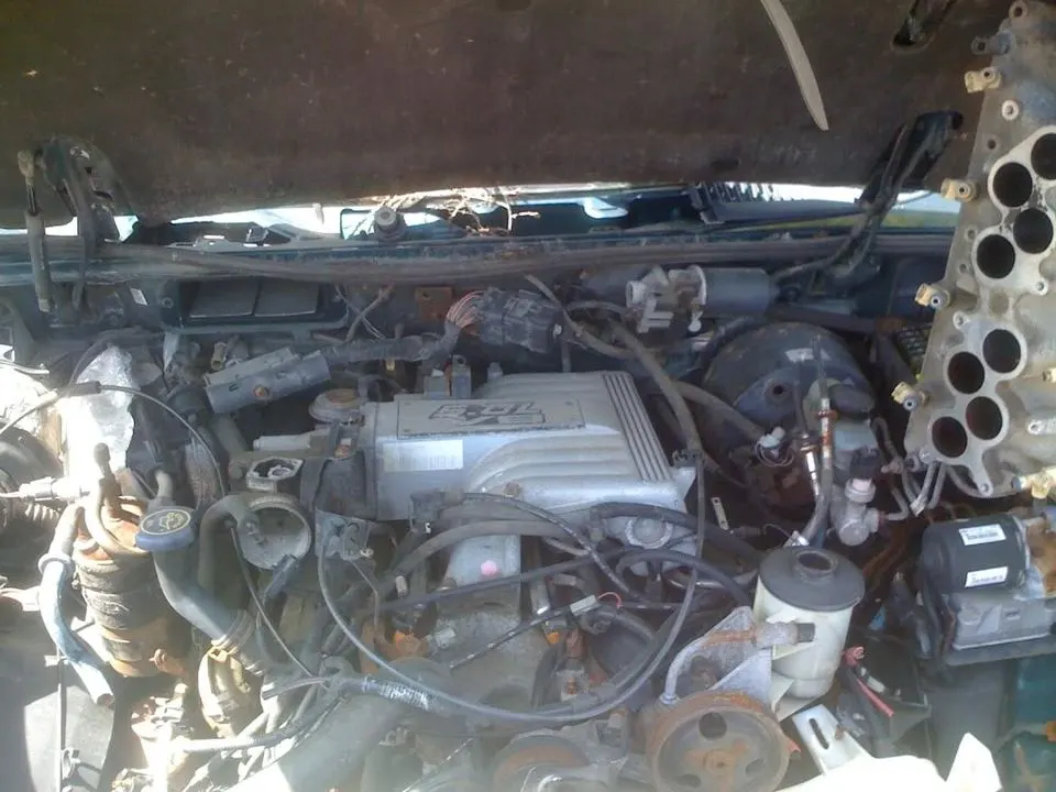 76362635.webp