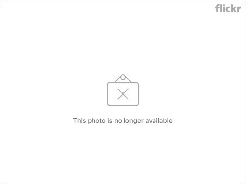 7671669222_c15460c5c8_z.webp