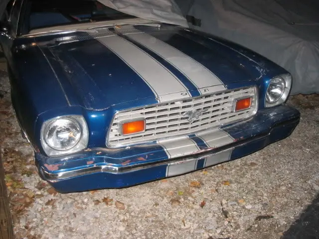 76cobra002.webp