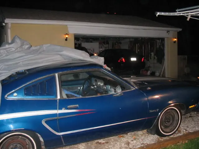 76cobra008.webp