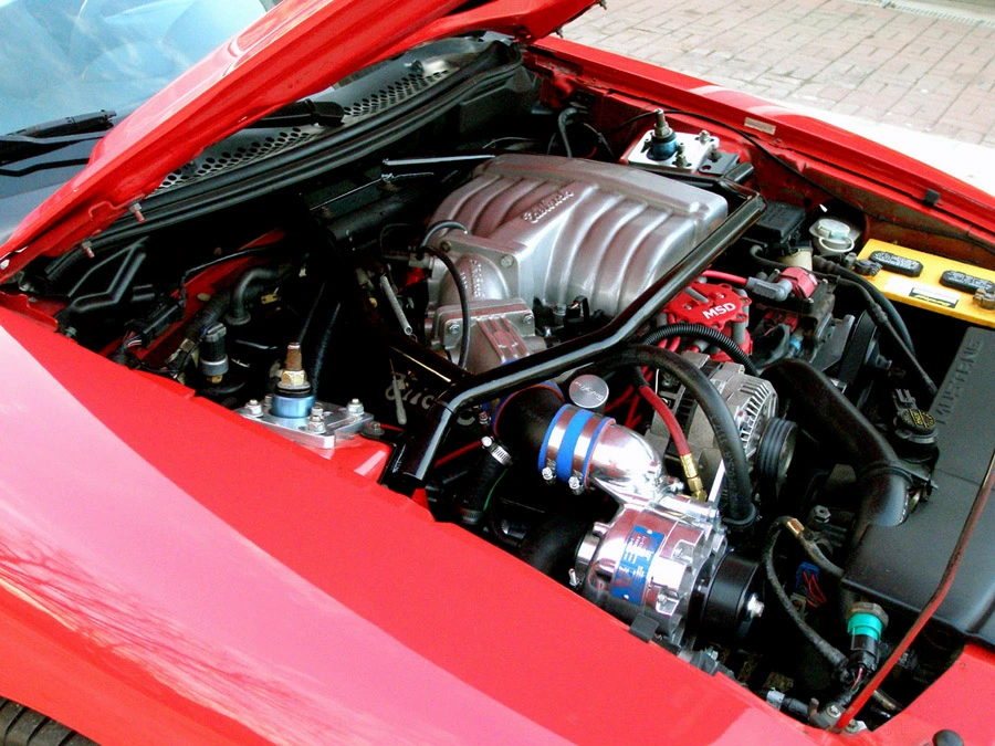 79114203.webp