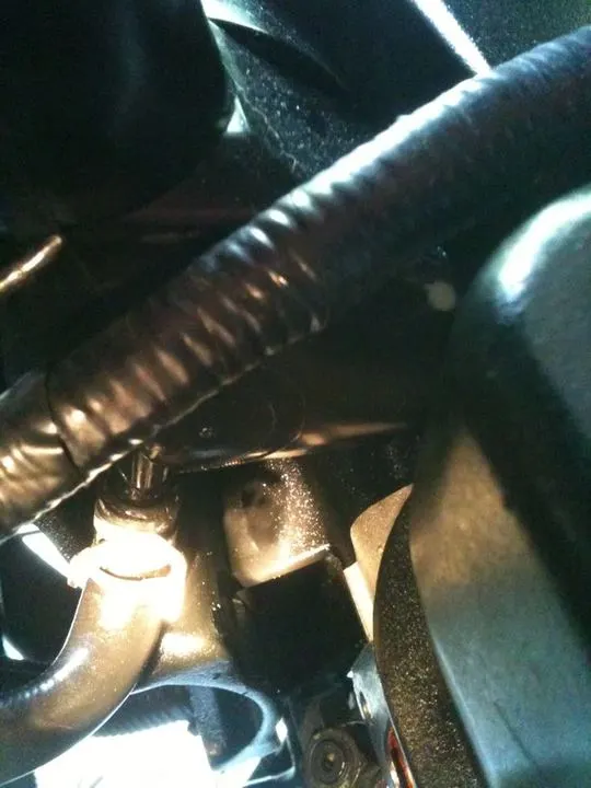 791e7911.webp