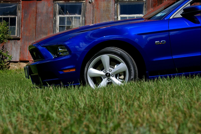 7993615694_c0d5cfbda2_c.webp