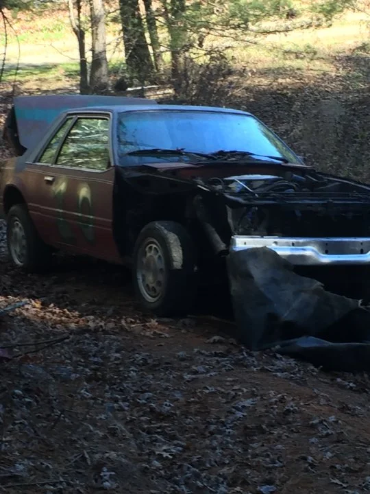 79_Mustang_1.webp