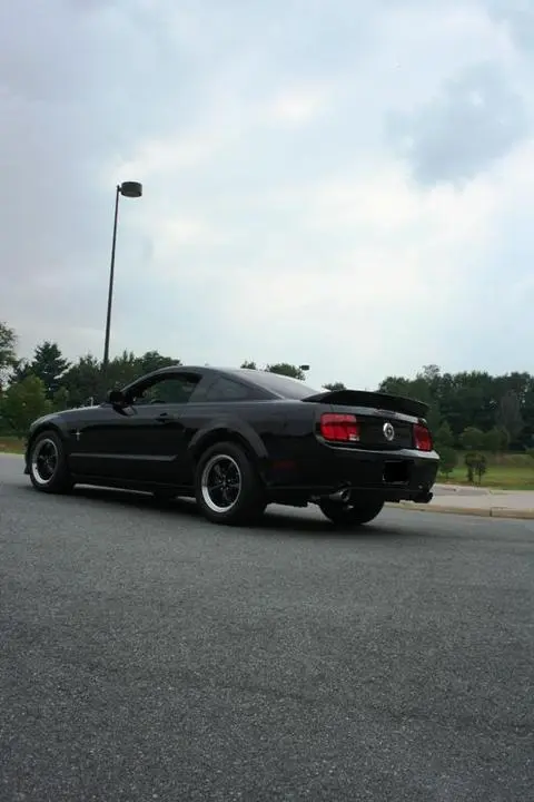 7_6_2008_16.webp