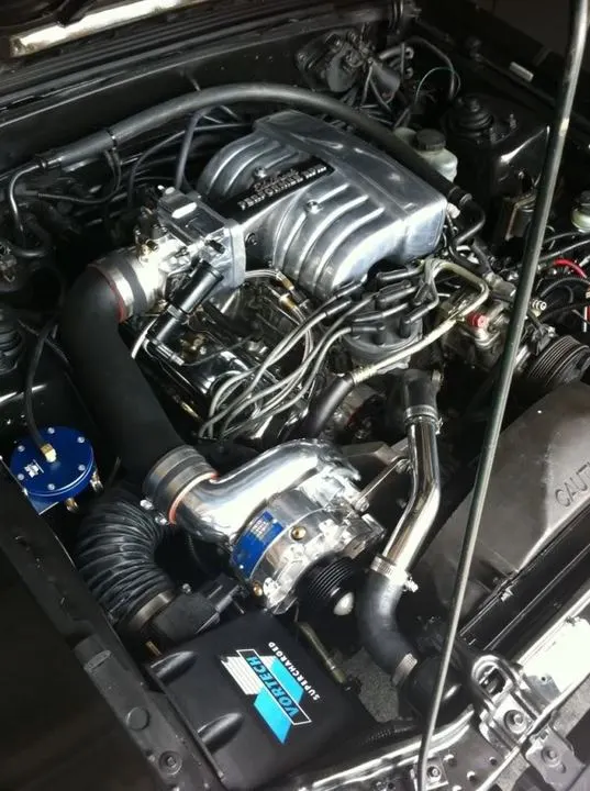 7d249e7e.webp