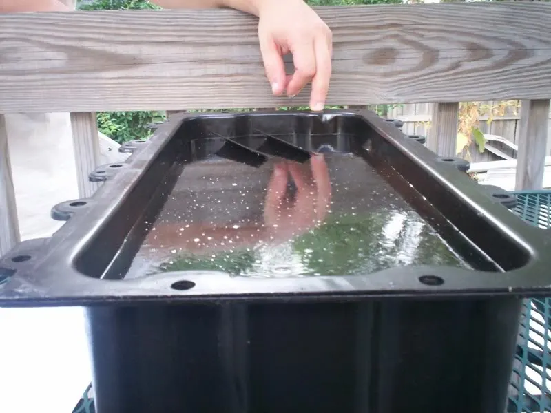 7quarts.webp