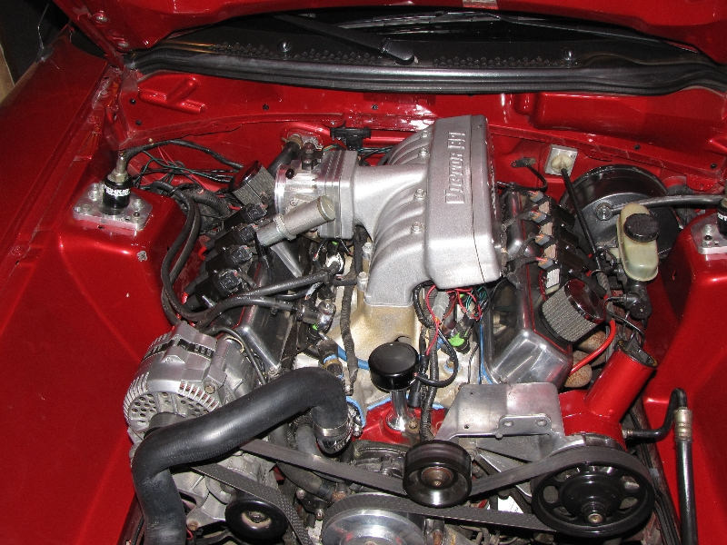 8-5-09%20015.webp